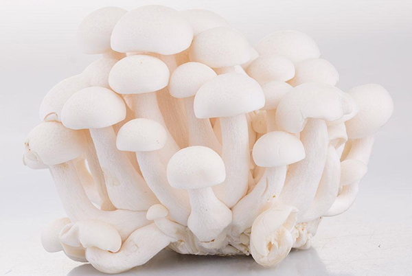大连企事业单位食堂蔬菜配送